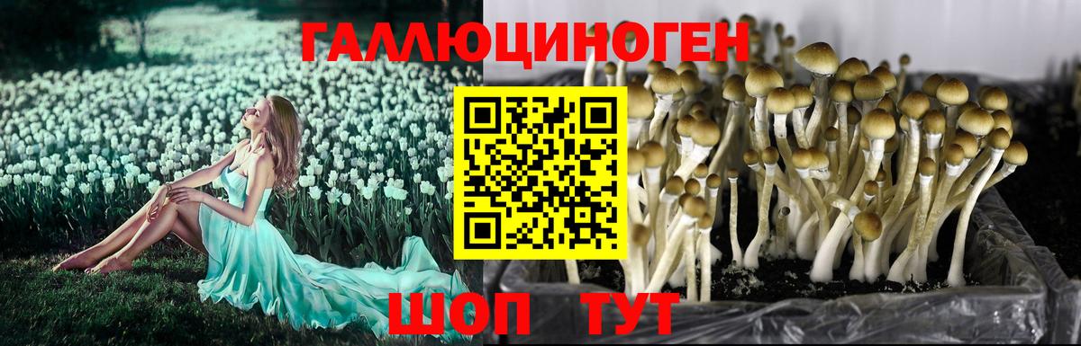 Псилоцибиновые грибы Magic Shrooms Кунгур