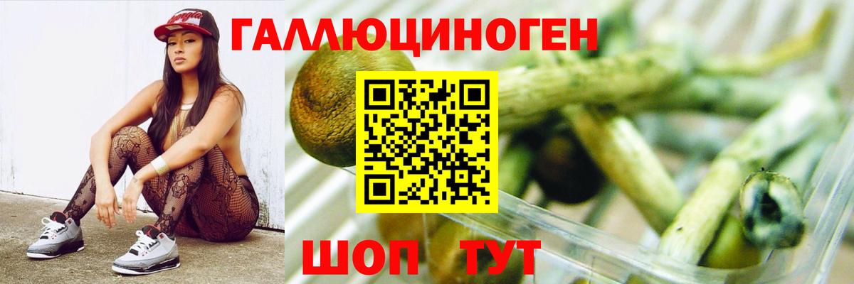 Кунгур  Галлюциногенные грибы Magic Shrooms  продажа наркотиков  Вход с VPN 